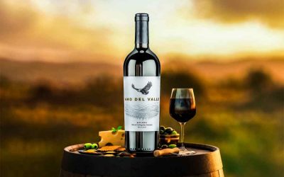Amo del Valle: el Malbec de altura que nace en La Estrella Mall