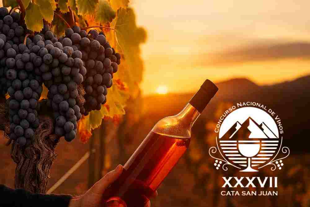 El alma embotellada: la marca y el Consejo que dieron voz al vino sanjuanino